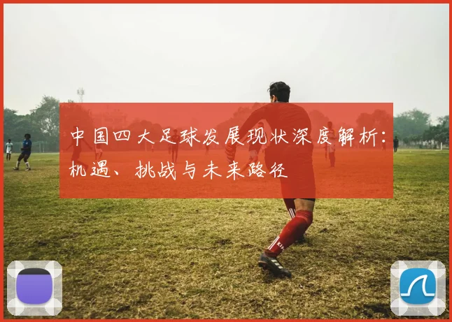 中国四大足球发展现状深度解析：机遇、挑战与未来路径